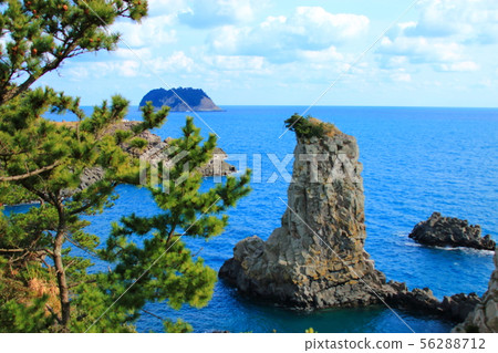 Doldog，岸邊，岩石，懸崖，海灘， 56288712