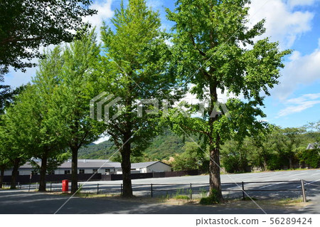 Ise Jingu Factory Ise Jingu Factory 56289424