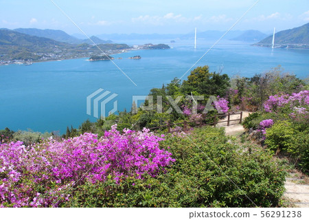 博多島，喀山公園，塔塔拉橋，杜鵑花盛開的地方 56291238