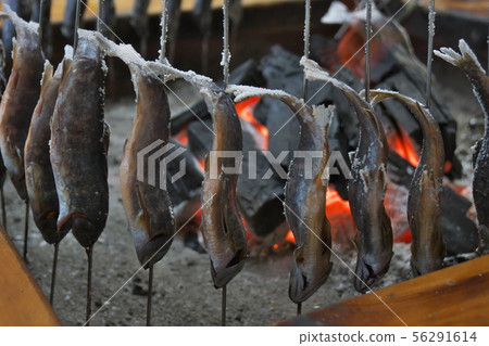 鹽烤三文魚 56291614