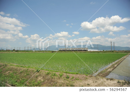 在初夏景觀訓練 56294567