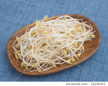 Bean sprouts Bean sprouts 56296852