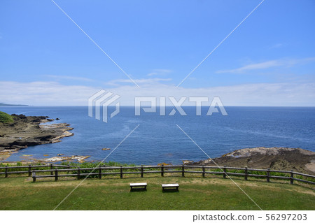 Seagull island view 56297203