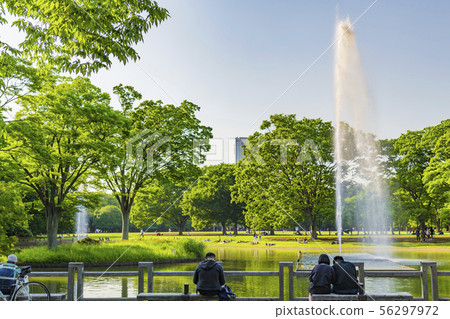 [Yoyogi park fountain] 56297972