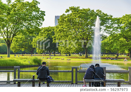[Yoyogi park fountain] 56297973