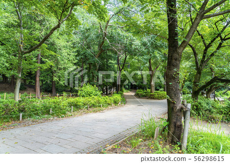 東京 吉祥寺井之頭公園 照片素材 圖片 圖庫