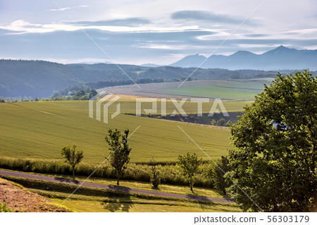 日出公園天文台（陽光明媚的六月初） 56303179