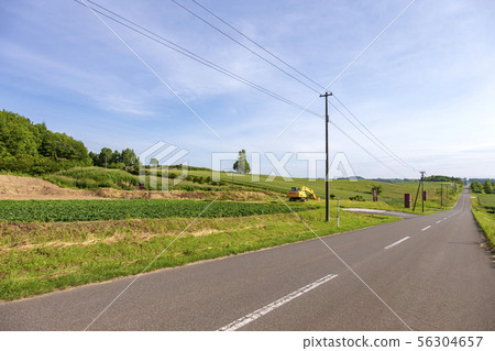 上富良野過山車路(6月晴朗,清晨) 上富良野過山車路(6月晴朗,清晨) 56304657