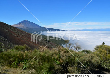 西班牙領土,加那利群島,特內里費島,泰德國家公園,泰德山 西班牙領土,加那利群島,特內里費島,泰德國家公園,泰德山 56306089