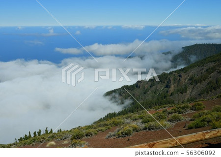 西班牙領土,加那利群島,特內里費島,泰德國家公園 西班牙領土,加那利群島,特內里費島,泰德國家公園 56306092