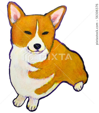 柯基犬坐下來,縮小眼睛 柯基犬坐下來,縮小眼睛 56306376