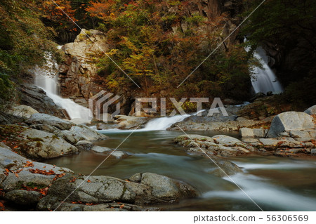 [Yamanashi Prefecture] Ryumonkyo 56306569