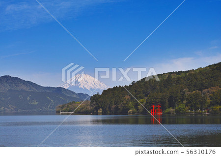[箱根]蘆之子和富士山（蘆之湖） 56310176