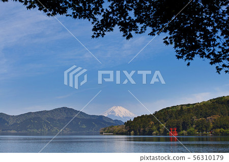 [Hakone] Ashinoko and Mt. Fuji (Lake Ashinoko) 56310179