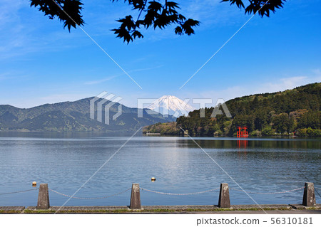 [Hakone] Ashinoko and Mt. Fuji (Lake Ashinoko) 56310181