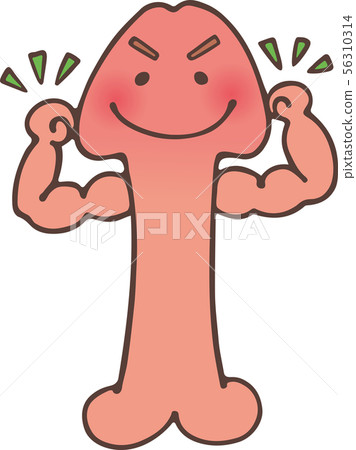 男性生殖器 56310314