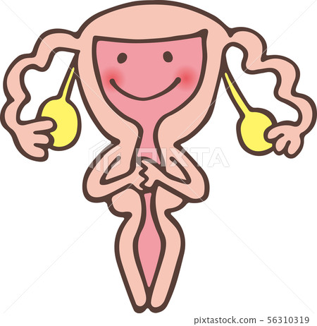 女性生殖器 女性生殖器 56310319