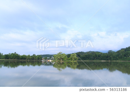 Tsurunuma公園反射 Tsurunuma公園反射 56313186