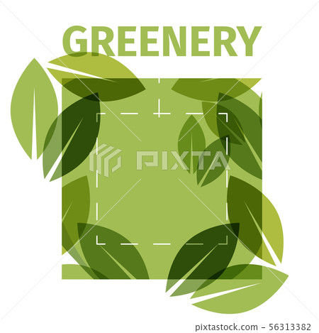 Color of the year . Greenery beautiful trendy background 56313382