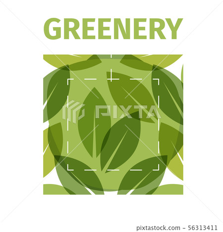 Color of the year . Greenery beautiful trendy background 56313411