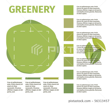 Color of the year . Greenery beautiful trendy infographic Color of the year . Greenery beautiful trendy infographic 56313457
