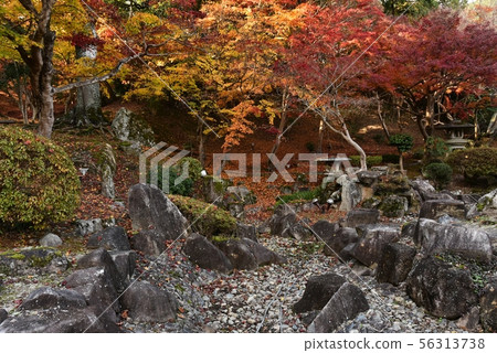 Ozekiyama Park Autumn（廣島縣三好市） 56313738