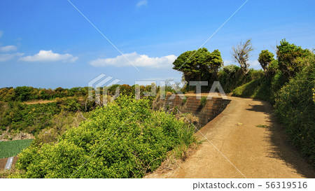 Field (spring) Field (spring) 56319516