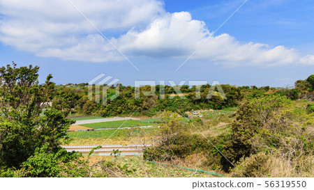 Field (spring) 56319550