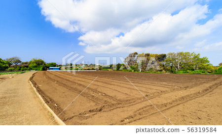 Field (spring) Field (spring) 56319584