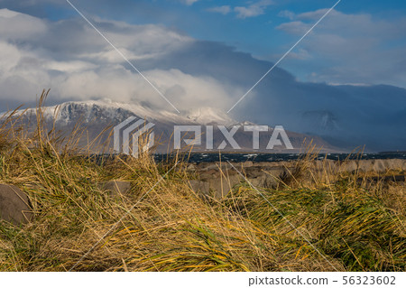 Beach view on Grotta Iceland near Reykjavik in 56323602