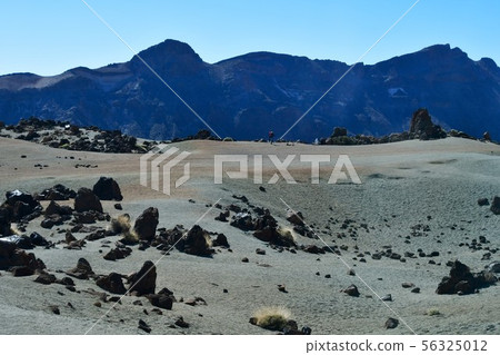 西班牙領土,加那利群島,特內里費島,泰德國家公園 西班牙領土,加那利群島,特內里費島,泰德國家公園 56325012