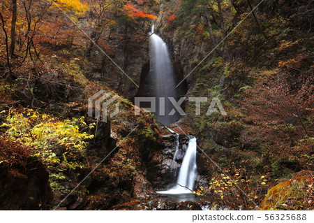 [Yamanashi Prefecture] Okusensen Gorge, Itashiki Gorge 56325688