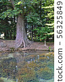Oshino Hakkai Bottom pond 56325849