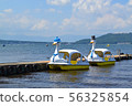 Lake Yamanaka Swan Boat 56325854