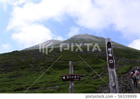 乘鞍 乘鞍 56339999