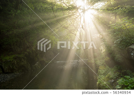 Awakening mountain stream 56340934