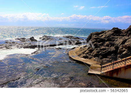 志高月深淵 56342065