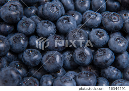 Lots of fresh blueberries, anthocyanidins, antioxidants, vitamins, 56344291
