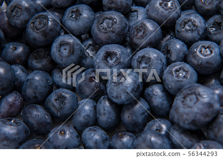 Lots of fresh blueberries, anthocyanidins, antioxidants, vitamins, 56344293