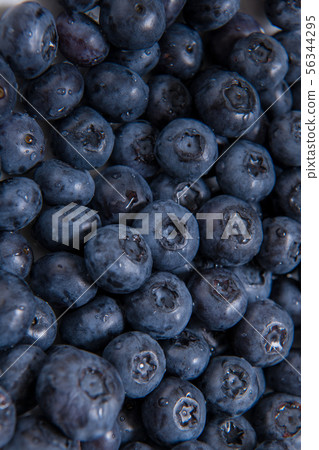 Lots of fresh blueberries, anthocyanidins, antioxidants, vitamins, Lots of fresh blueberries, anthocyanidins, antioxidants, vitamins, 56344295