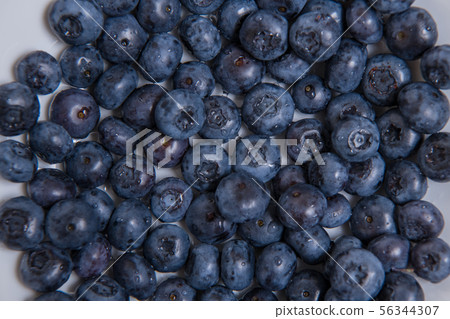 Lots of fresh blueberries, anthocyanidins, antioxidants, vitamins, 56344307