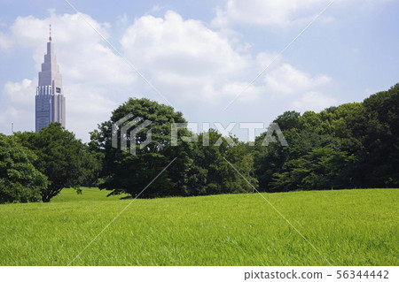 明治神宮/代代木神社 明治神宮/代代木神社 56344442