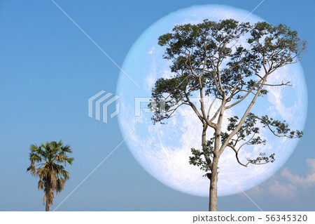 super strawberry moon on night sky back over super strawberry moon on night sky back over 56345320