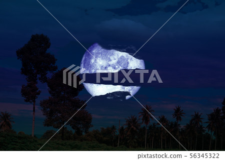 super full harvest moon on night sky back super full harvest moon on night sky back 56345322