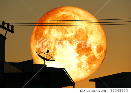 super full harvest blood moon on night sky back super full harvest blood moon on night sky back 56345333