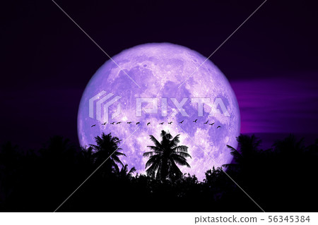 full egg moon back on silhouette bords on the full egg moon back on silhouette bords on the 56345384