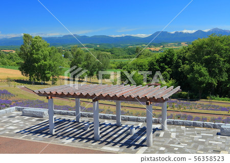 [Hokkaido] Biei View from the northwest hill 56358523
