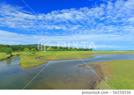 [北海道]夏季Saroma湖Kimanepzaki 56358536