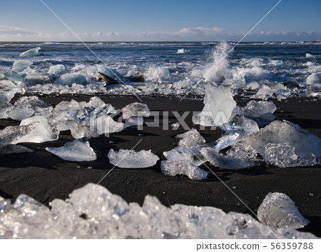 Glacier ice on the coast at the black sandy beach 56359788