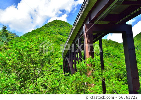 Koshi路上的Koshi大橋 56363722